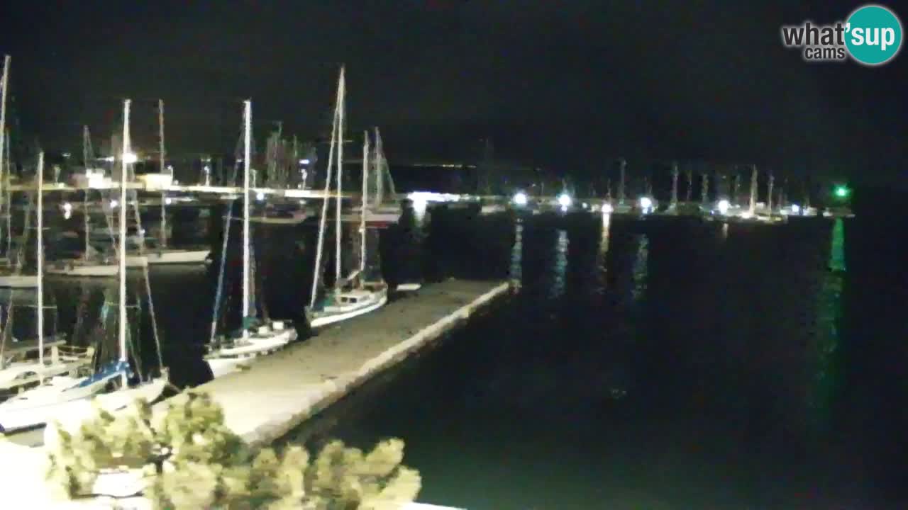 Webcam Sistiana – Pogled na marinu i zaljev