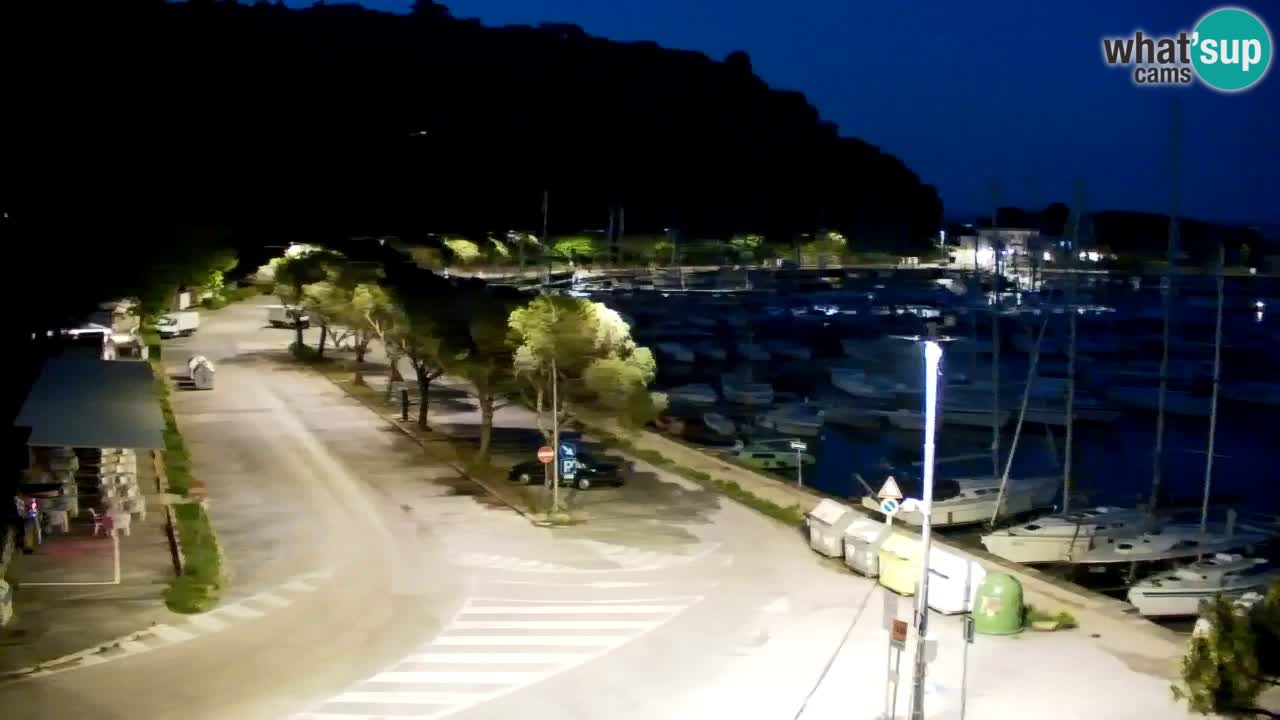 Webcam Sistiana – Pogled na marinu i zaljev