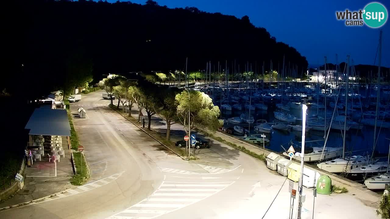 Spletna kamera Sesljan (Sistiana) – Pogled na marino in zaliv
