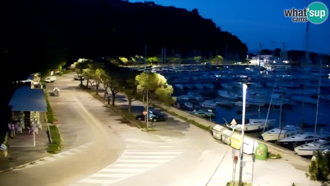 Spletna kamera Sesljan (Sistiana) – Pogled na marino in zaliv