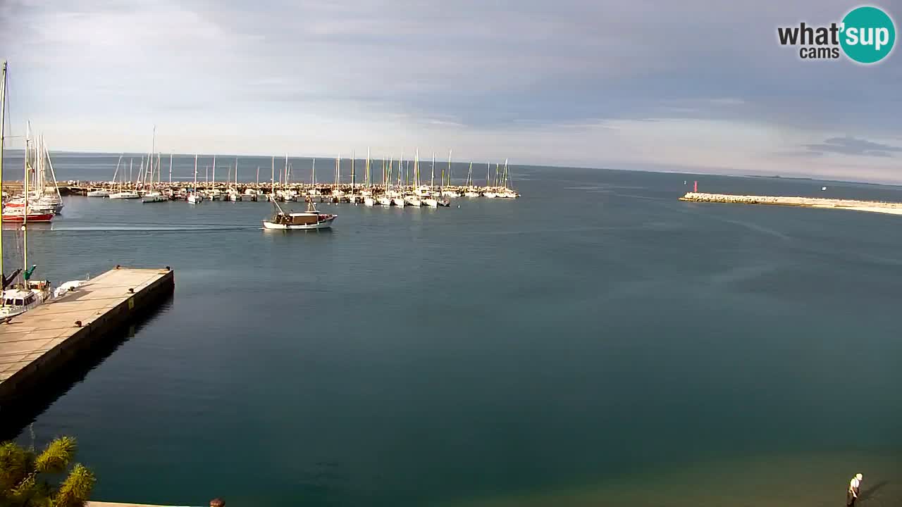 Webcam Sistiana – Vista sobre la marina y la bahía