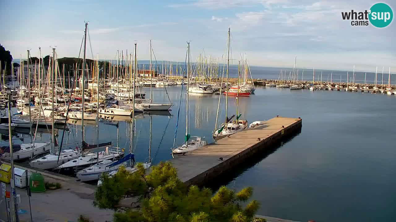 Webcam Sistiana – Marina and Bay Live View