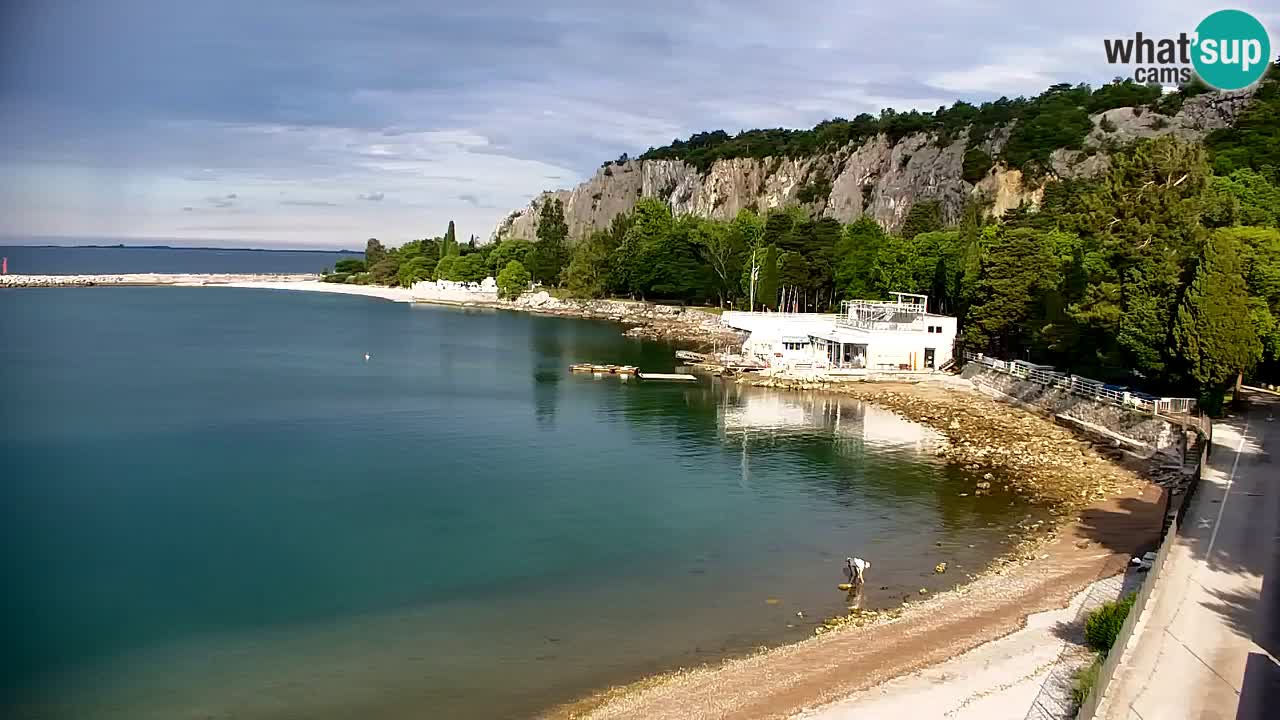Webcam Sistiana – Marina and Bay Live View