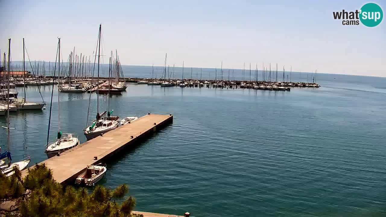 Webcam Sistiana – Marina and Bay Live View
