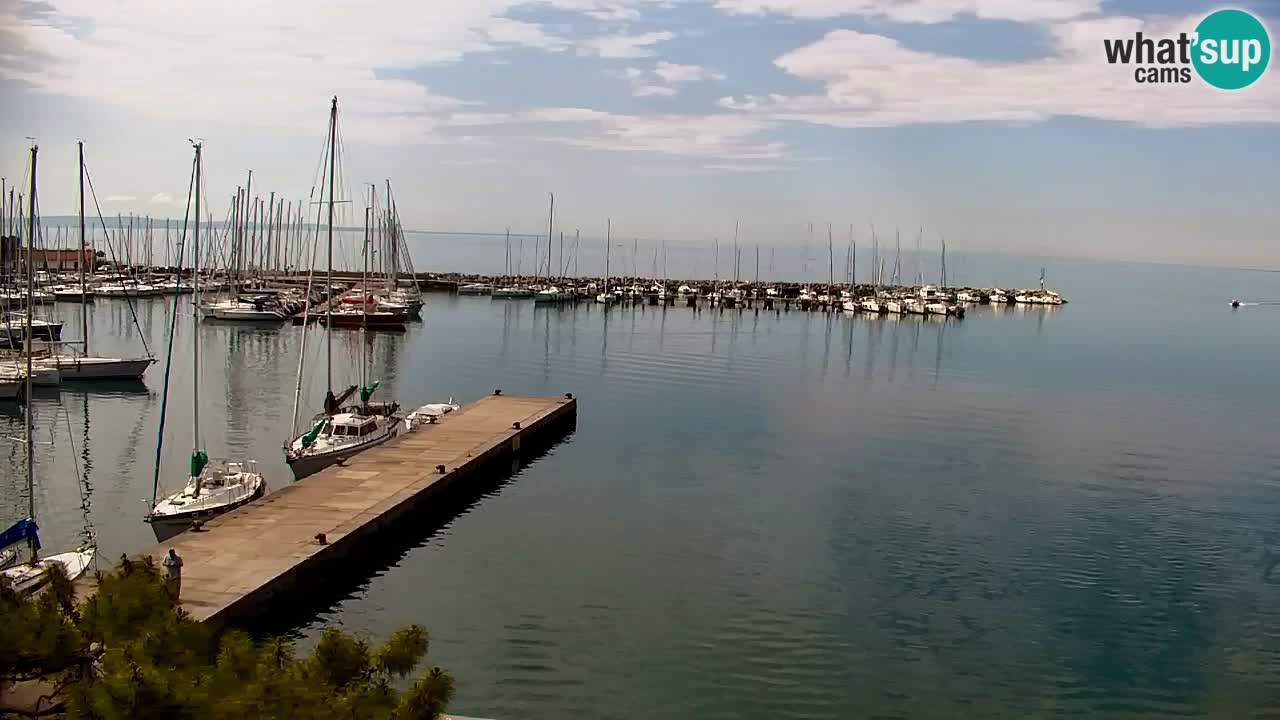 Webcam Sistiana – Blick auf Marina und Bucht