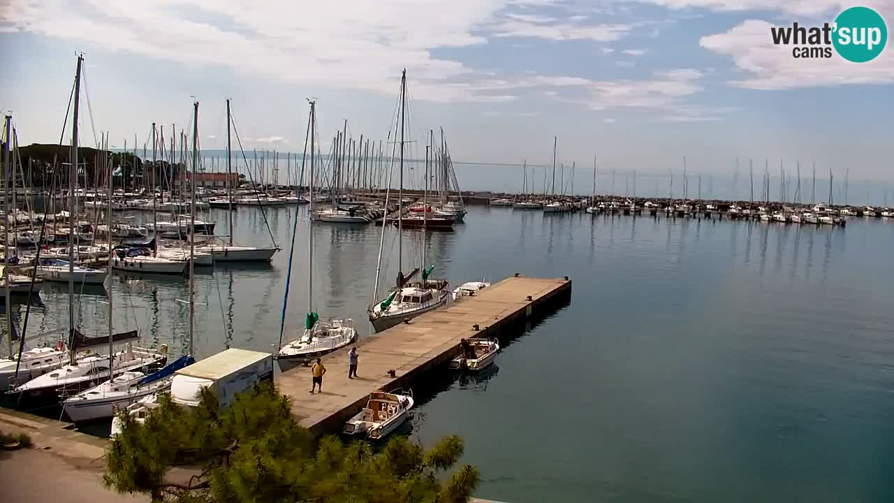 Webcam Sistiana – Vue sur la marina et la baie