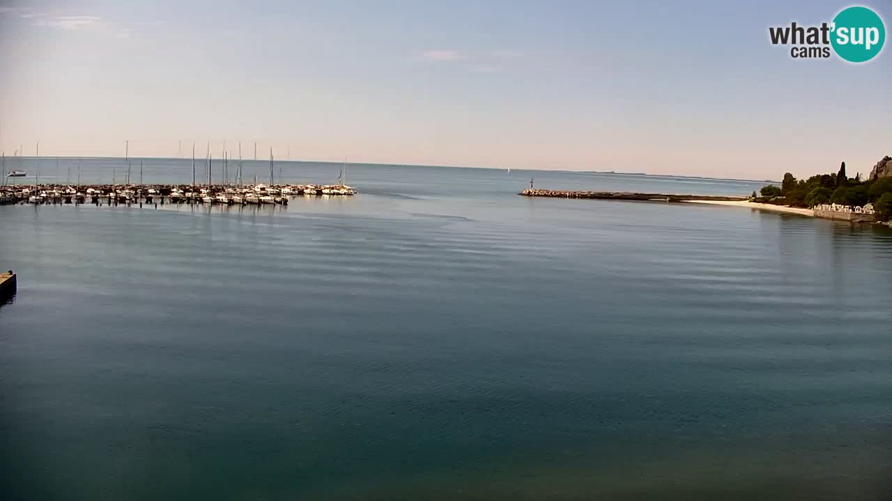 Webcam Sistiana – Marina and Bay Live View