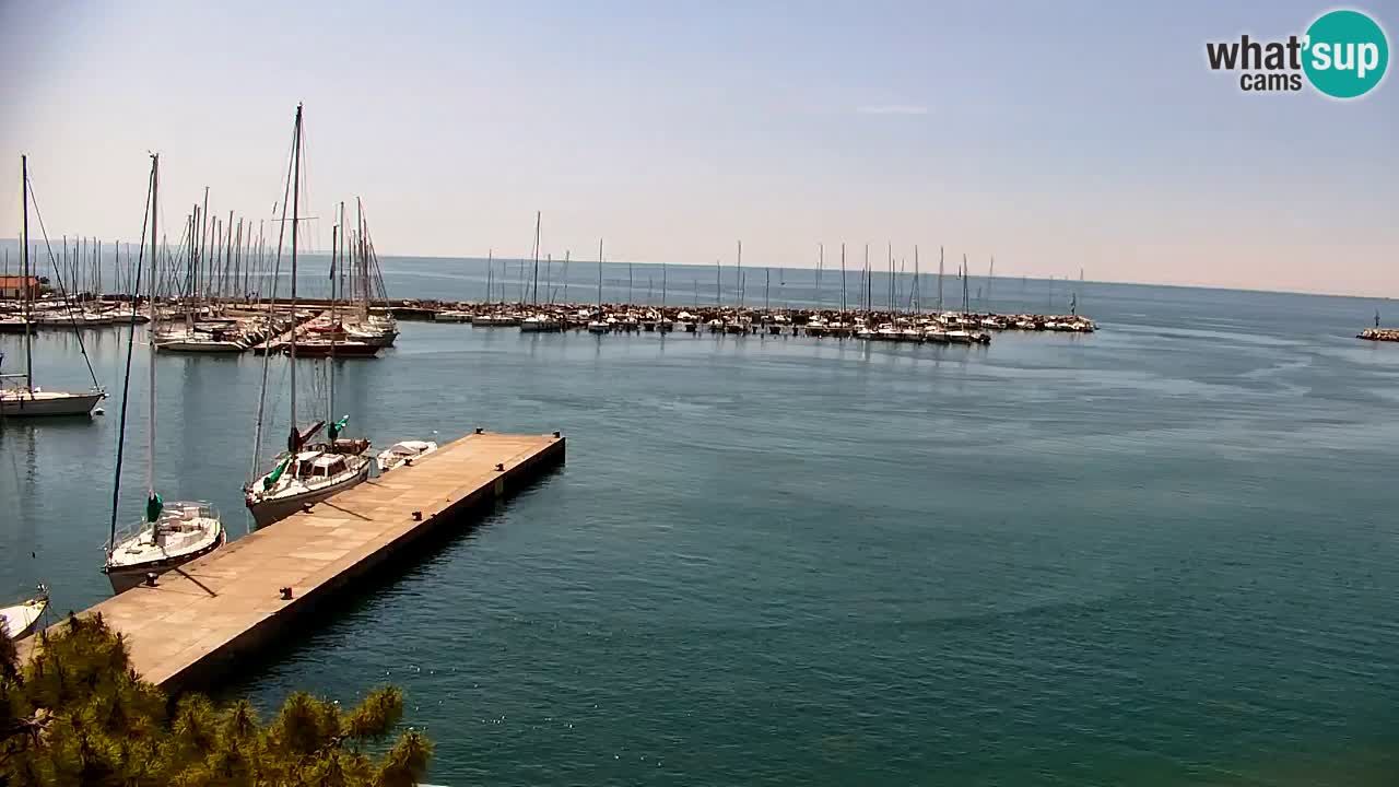 Spletna kamera Sesljan (Sistiana) – Pogled na marino in zaliv