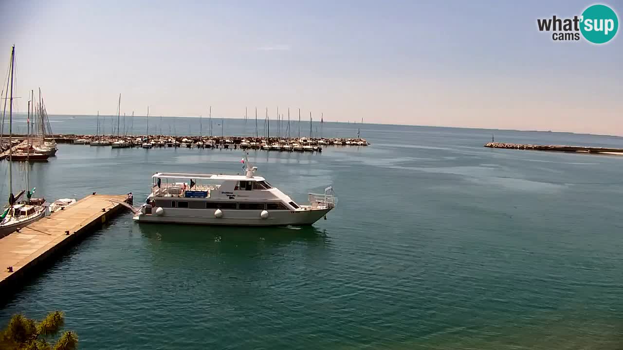 Spletna kamera Sesljan (Sistiana) – Pogled na marino in zaliv