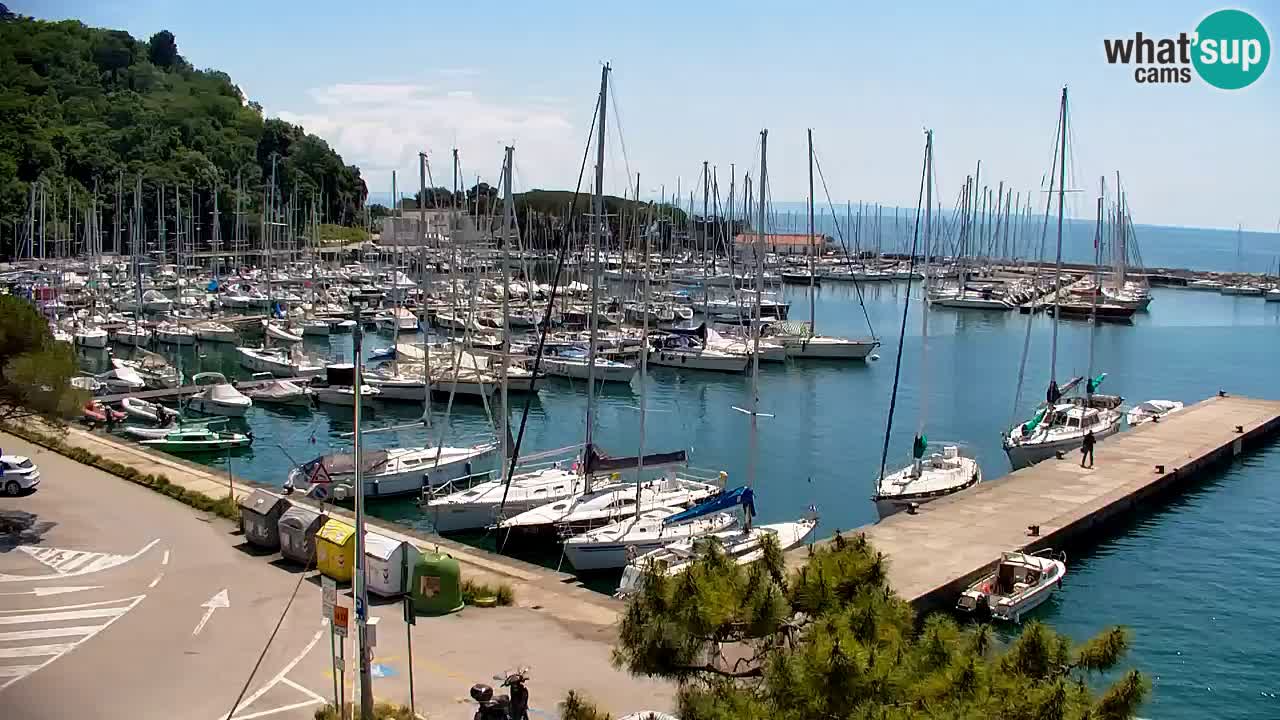 Webcam Sistiana – Pogled na marinu i zaljev