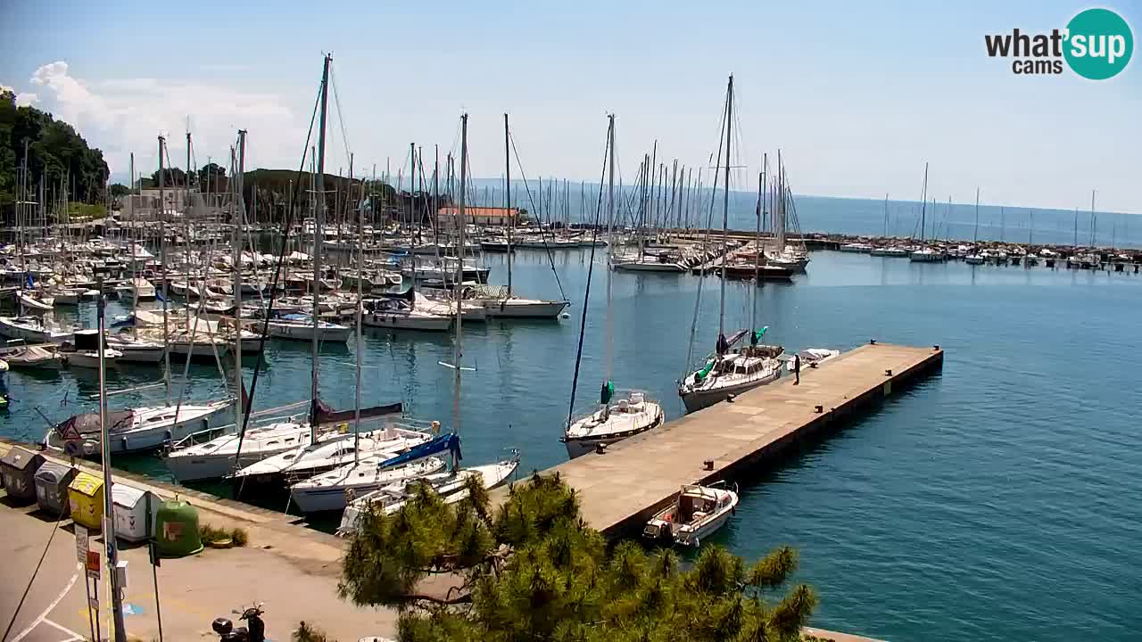 Webcam Sistiana – Pogled na marinu i zaljev