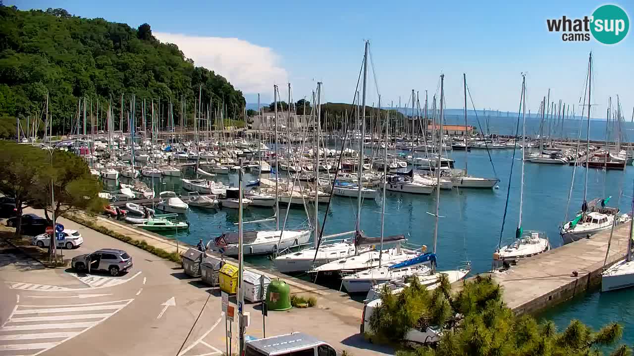 Spletna kamera Sesljan (Sistiana) – Pogled na marino in zaliv