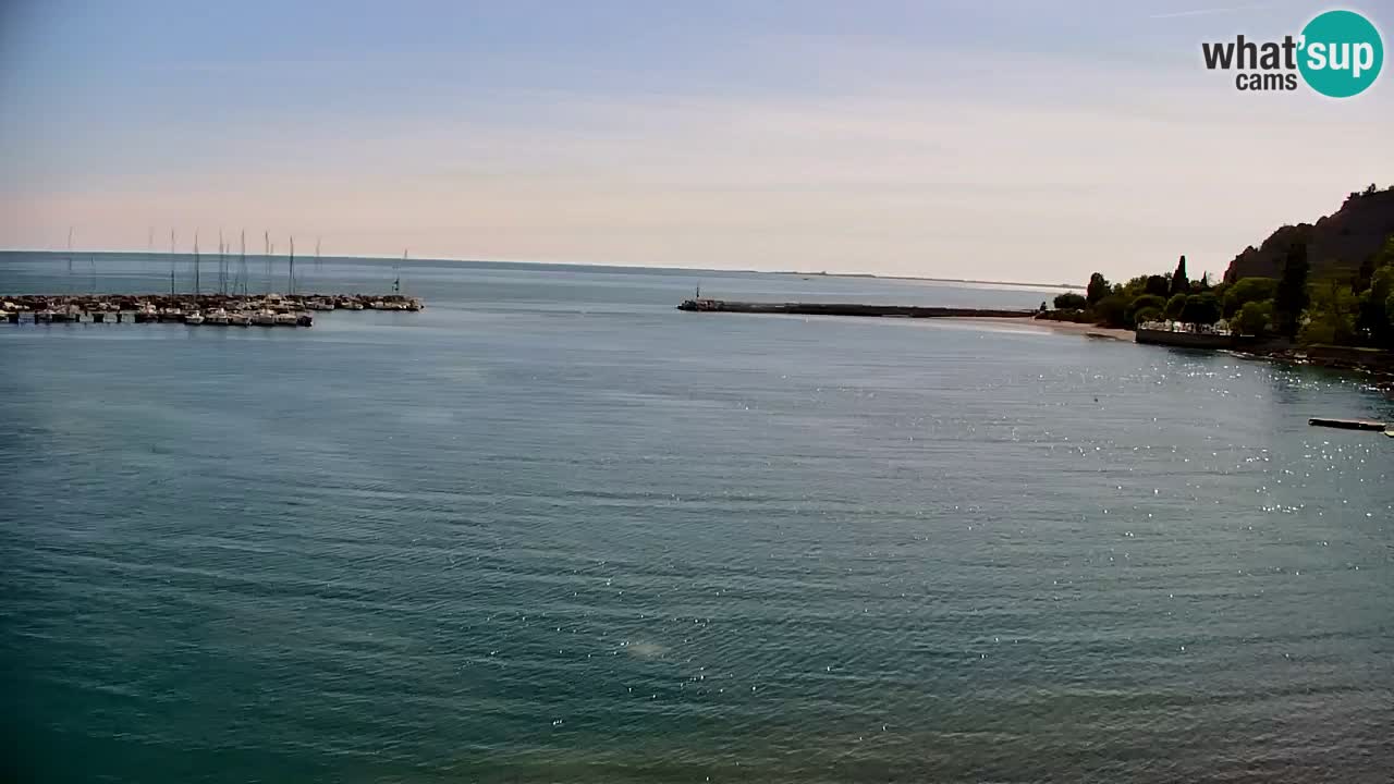 Webcam Sistiana – Pogled na marinu i zaljev