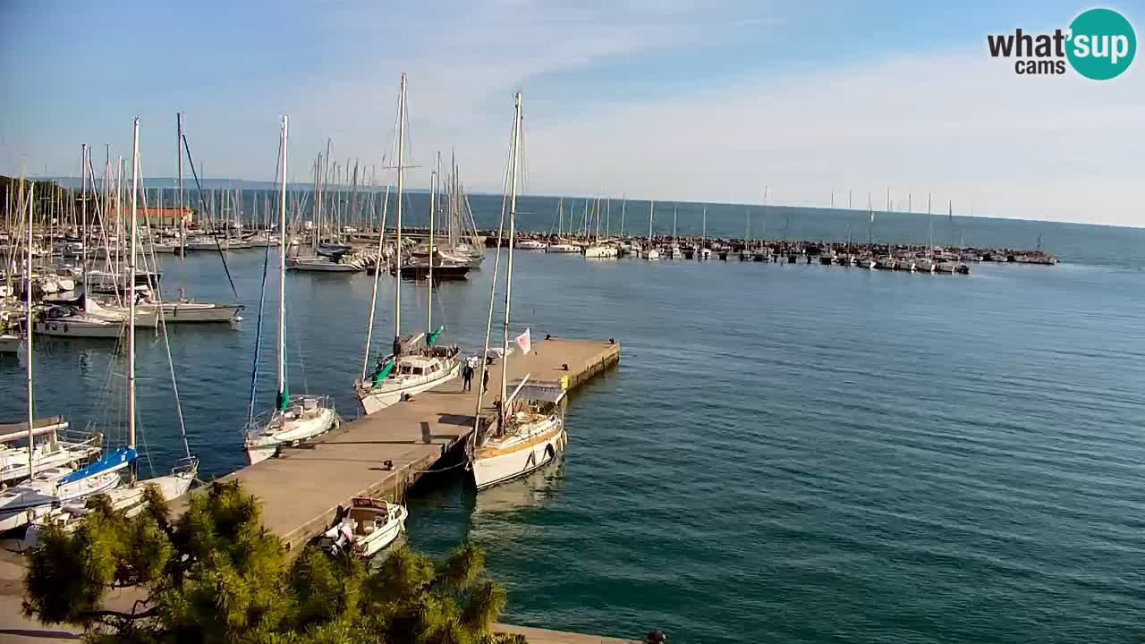 Webcam Sistiana – Marina and Bay Live View