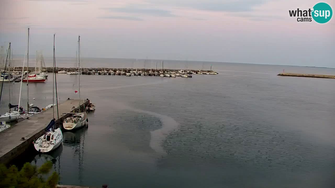 Webcam Sistiana – Marina and Bay Live View