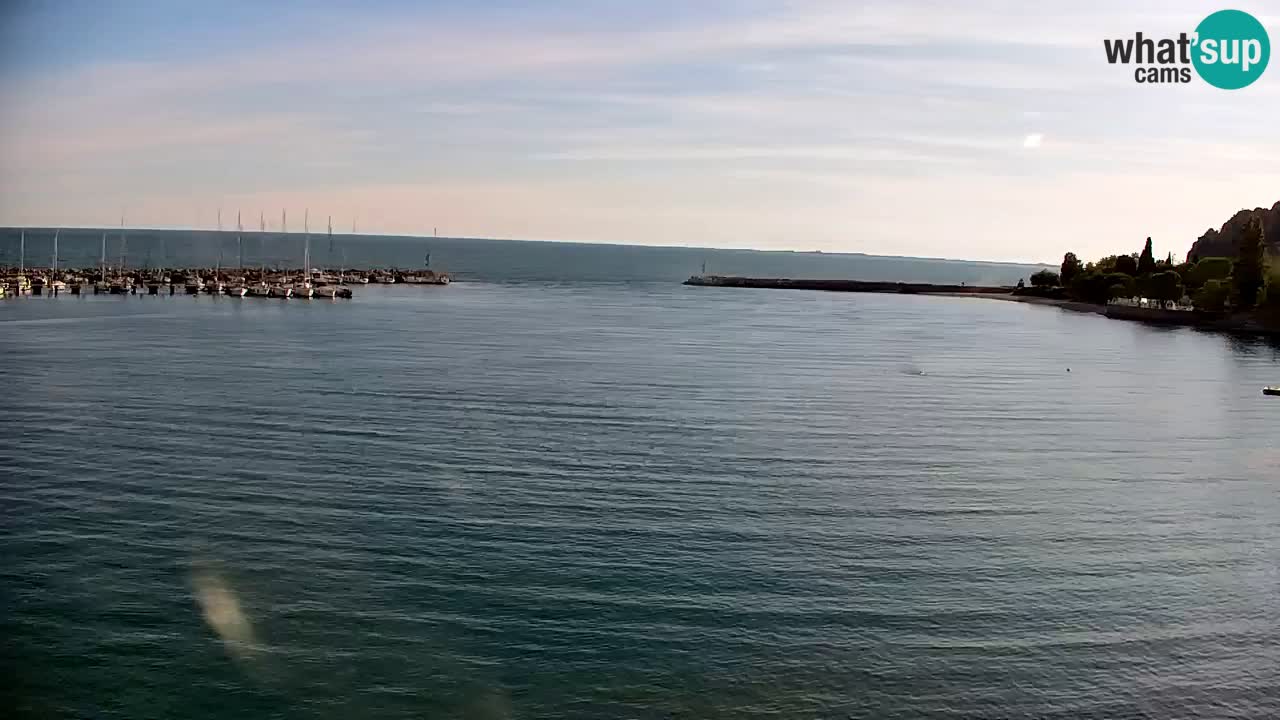 Webcam Sistiana – Pogled na marinu i zaljev