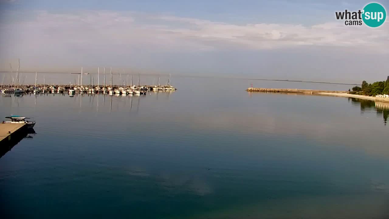 Webcam Sistiana – Blick auf Marina und Bucht