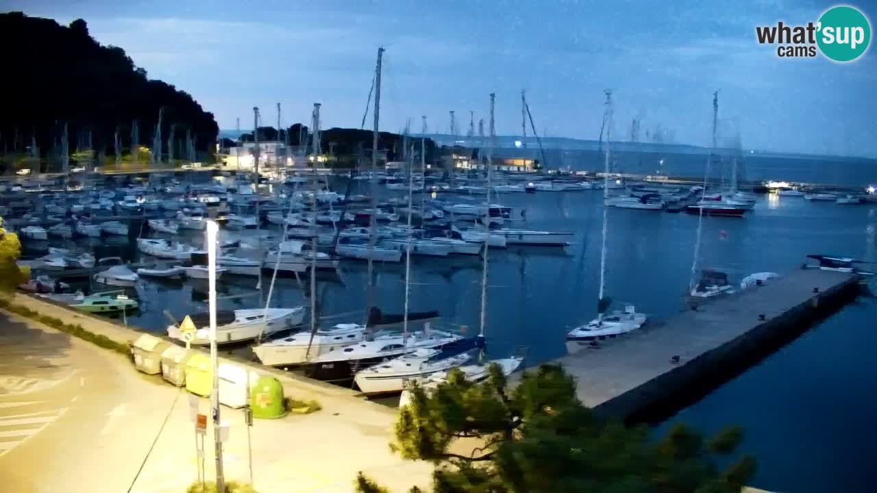 Webcam Sistiana – Blick auf Marina und Bucht