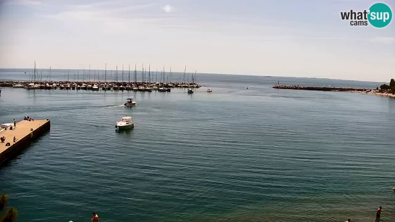 Webcam Sistiana – Vue sur la marina et la baie