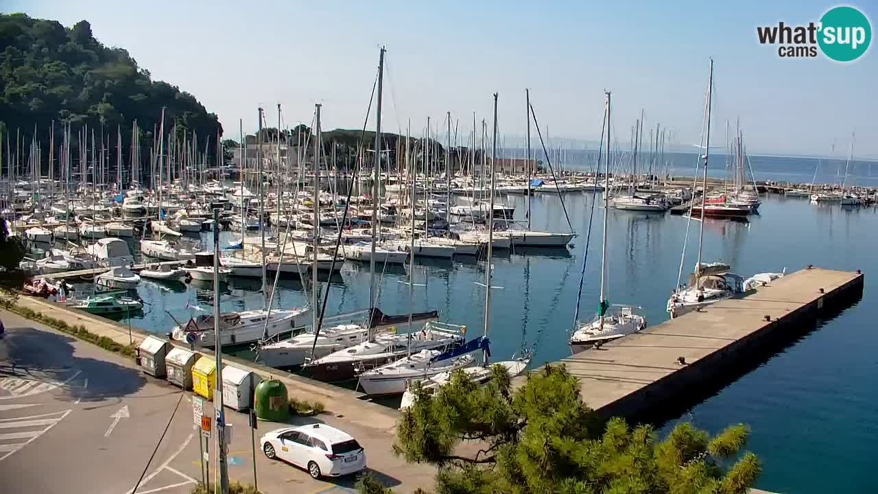 Webcam Sistiana – Marina and Bay Live View