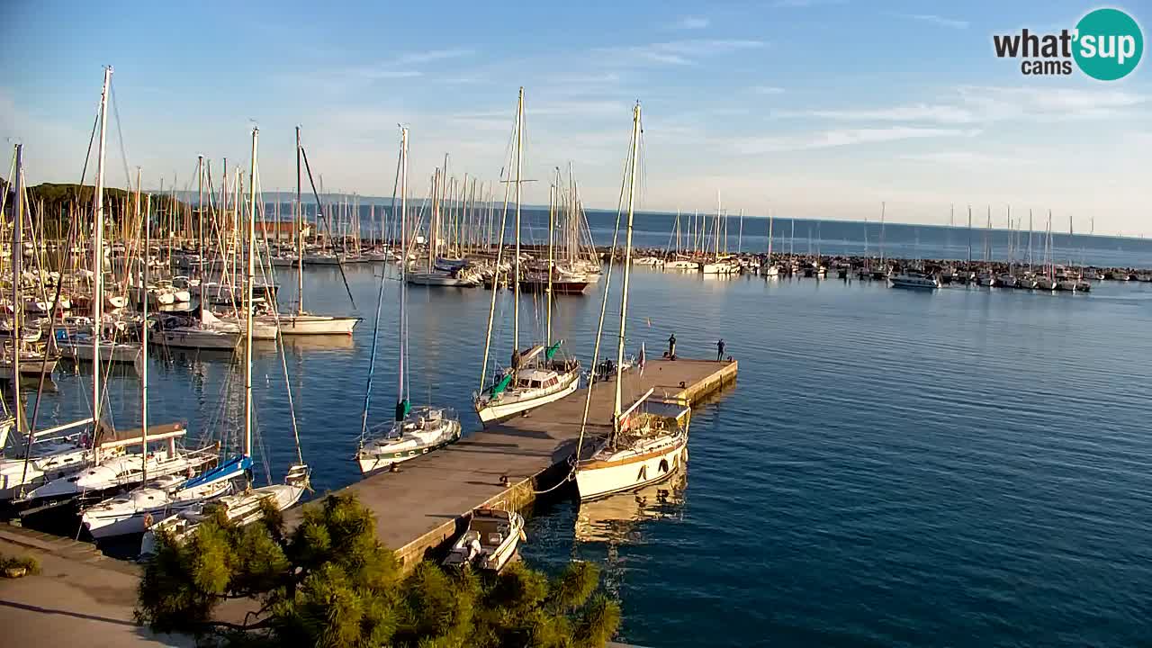 Webcam Sistiana – Marina and Bay Live View
