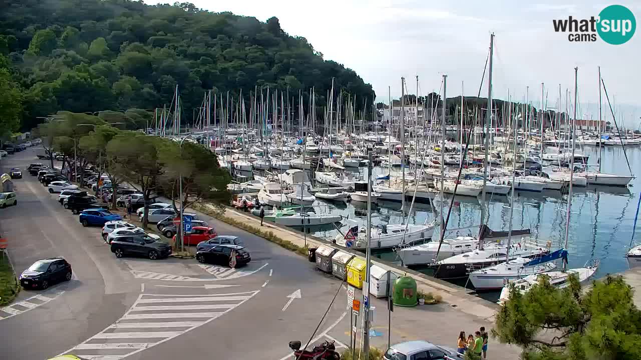 Webcam Sistiana – Marina and Bay Live View
