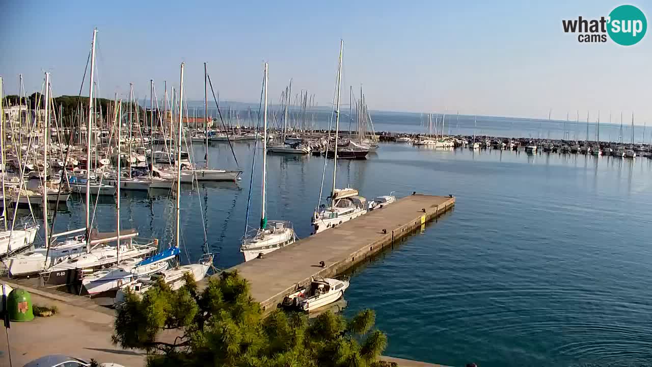 Webcam Sistiana – Vista sulla marina e sulla baia