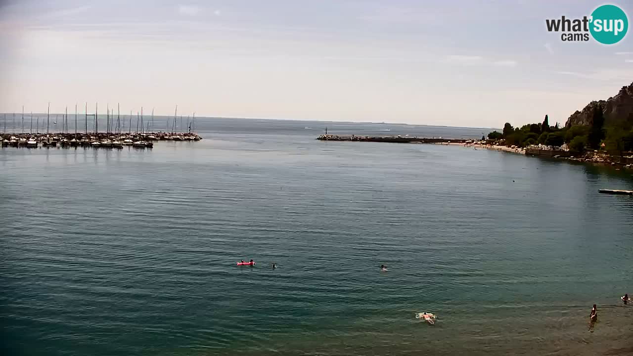 Webcam Sistiana – Pogled na marinu i zaljev