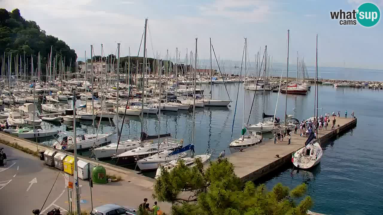 Spletna kamera Sesljan (Sistiana) – Pogled na marino in zaliv