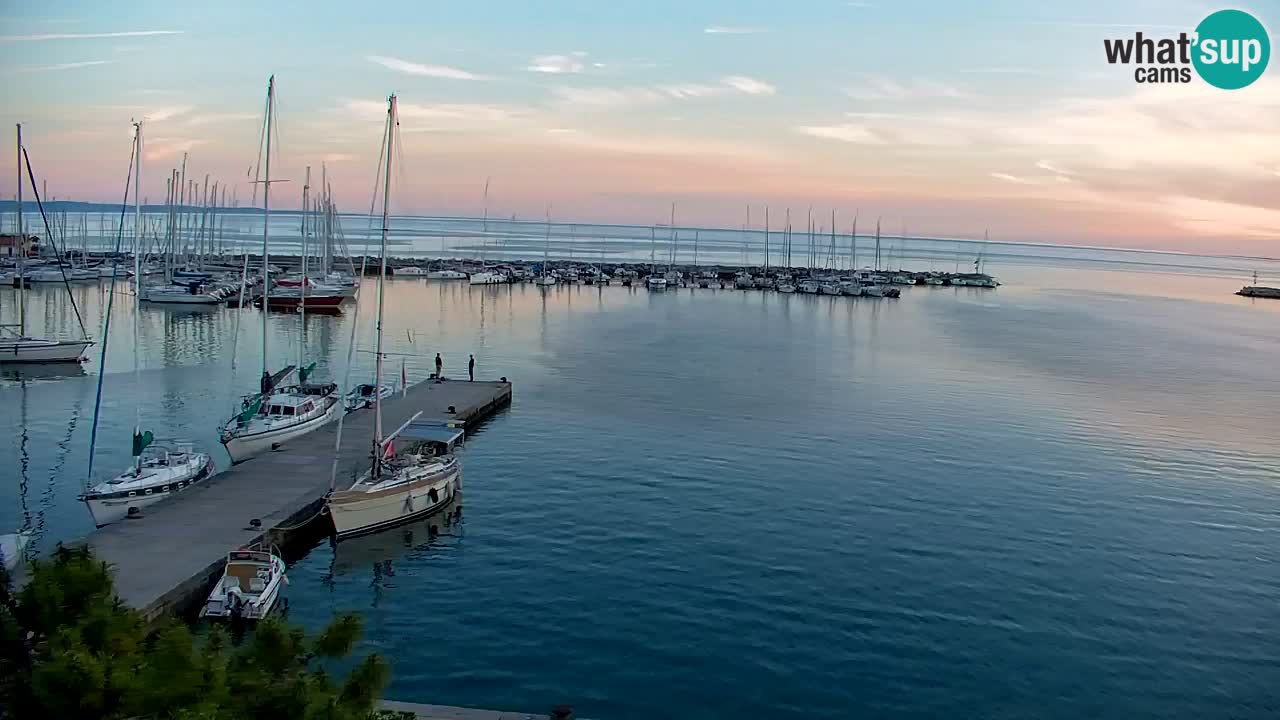 Webcam Sistiana – Pogled na marinu i zaljev