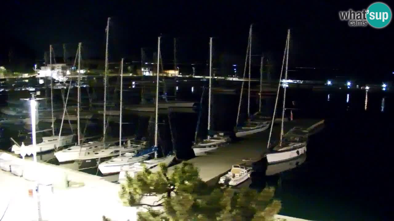Webcam Sistiana – Pogled na marinu i zaljev