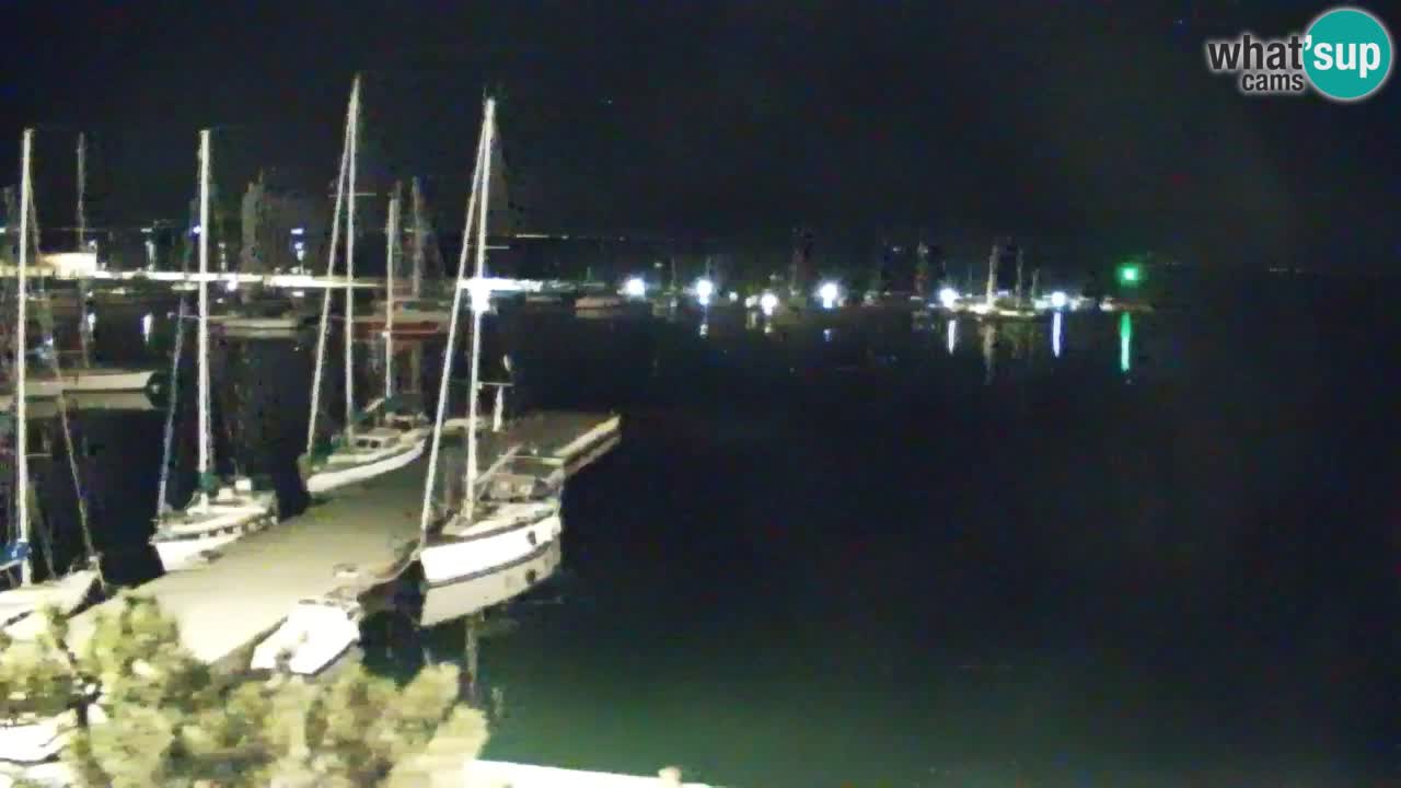 Webcam Sistiana – Pogled na marinu i zaljev