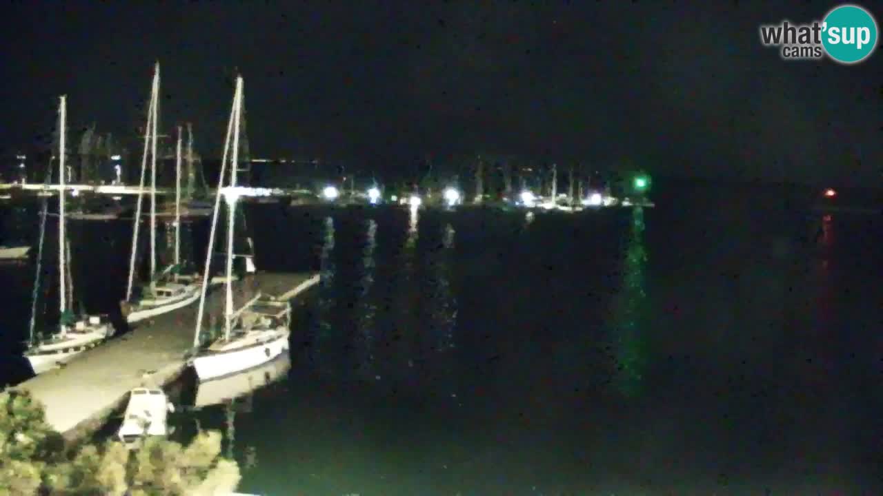 Webcam Sistiana – Pogled na marinu i zaljev