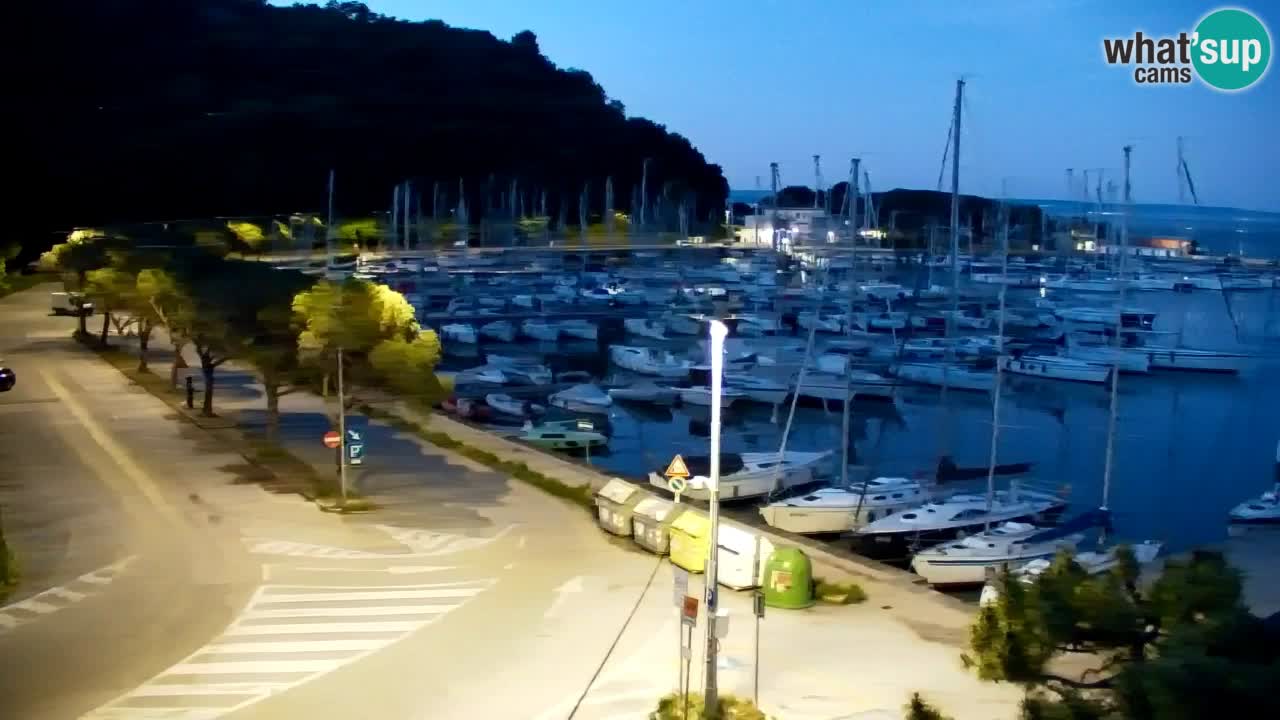 Webcam Sistiana – Vista sobre la marina y la bahía
