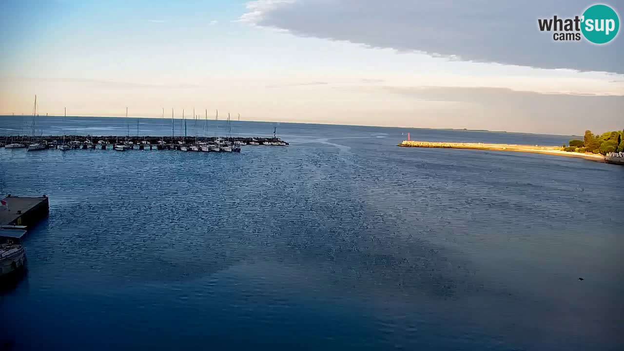 Spletna kamera Sesljan (Sistiana) – Pogled na marino in zaliv