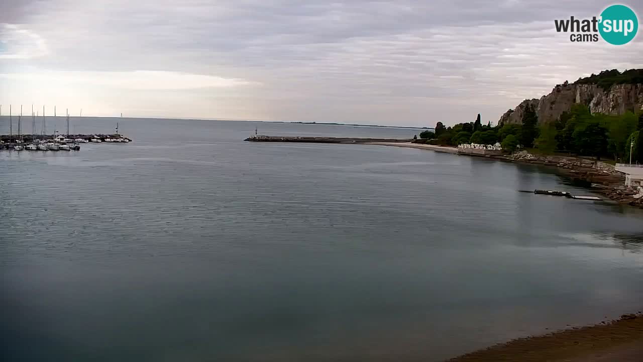 Spletna kamera Sesljan (Sistiana) – Pogled na marino in zaliv