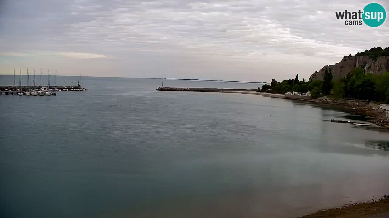 Webcam Sistiana – Pogled na marinu i zaljev