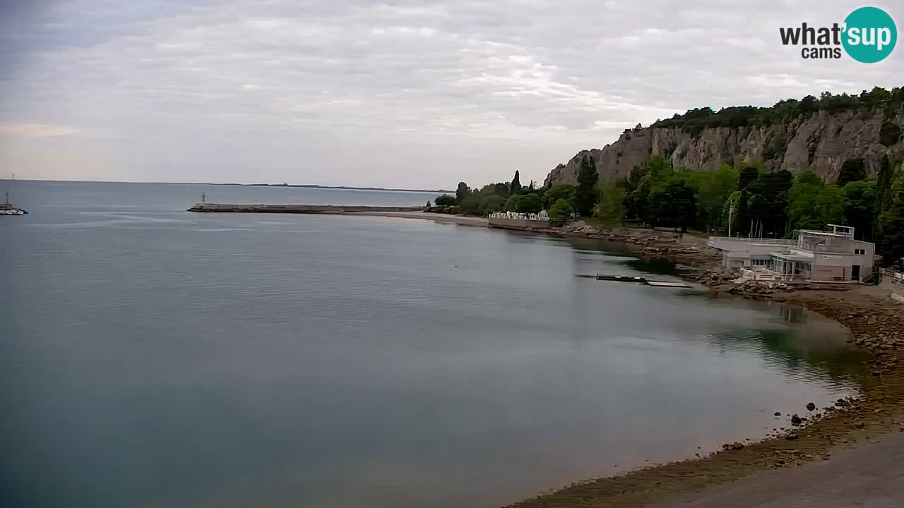 Webcam Sistiana – Marina and Bay Live View