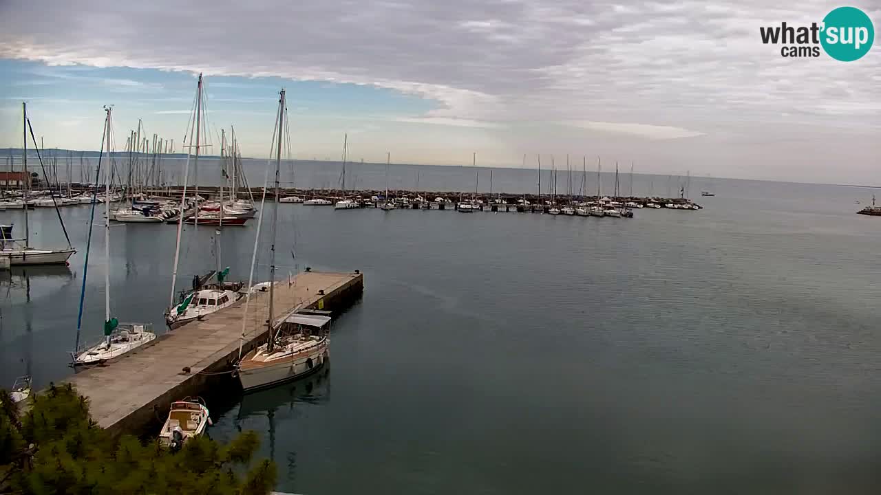 Webcam Sistiana – Marina and Bay Live View