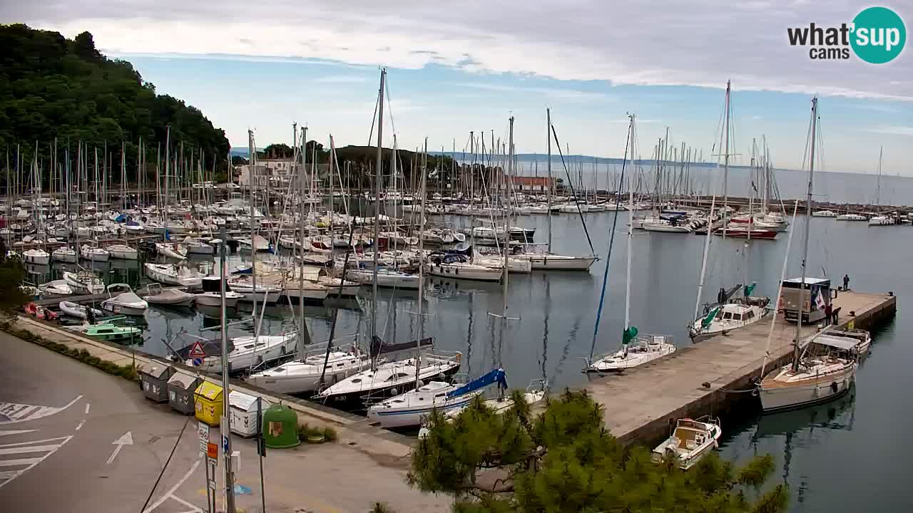 Webcam Sistiana – Pogled na marinu i zaljev