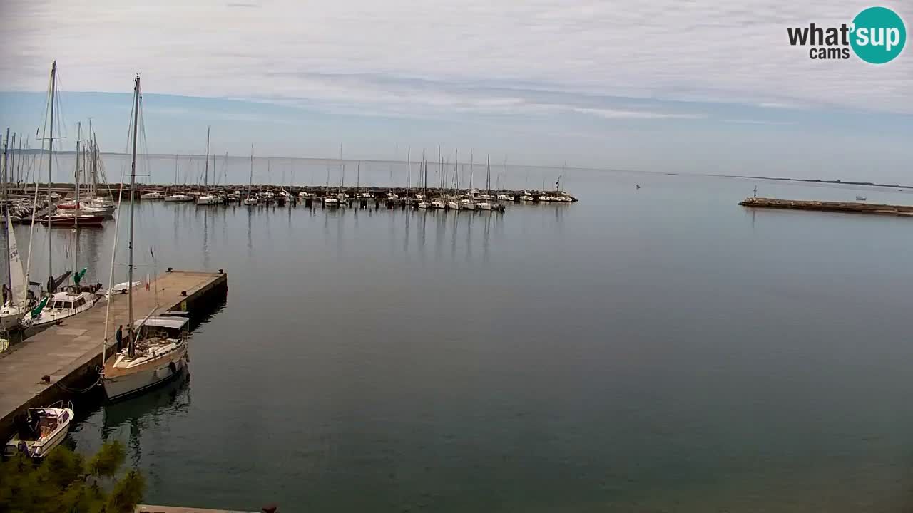 Webcam Sistiana – Marina and Bay Live View