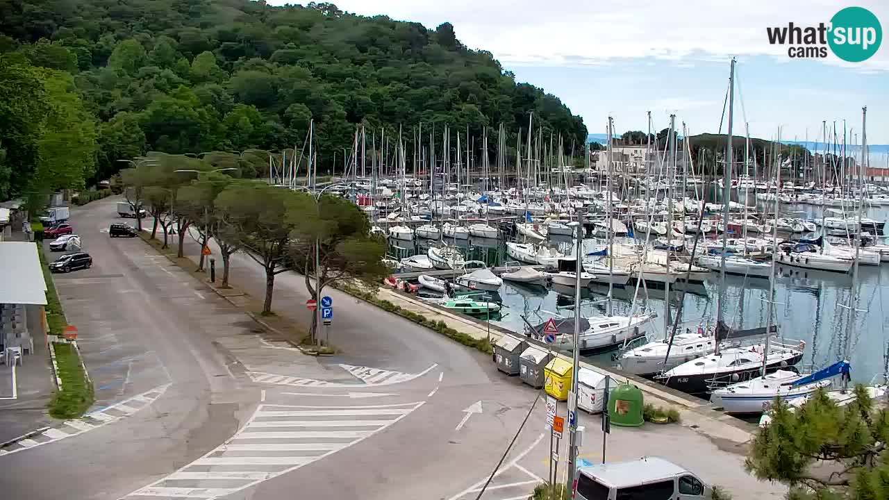 Webcam Sistiana – Marina and Bay Live View