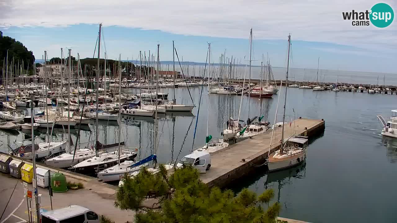 Spletna kamera Sesljan (Sistiana) – Pogled na marino in zaliv