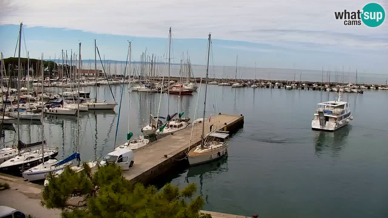 Webcam Sistiana – Marina and Bay Live View