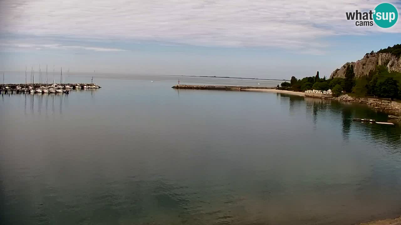 Webcam Sistiana – Marina and Bay Live View