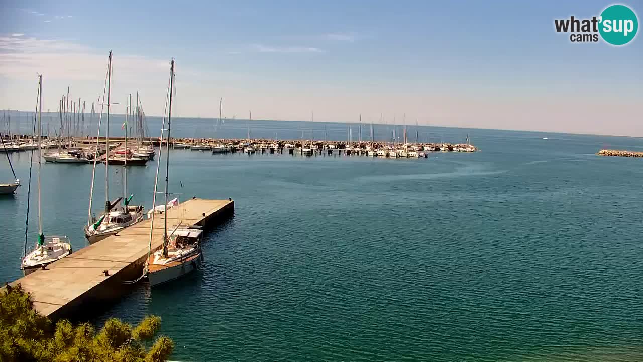 Spletna kamera Sesljan (Sistiana) – Pogled na marino in zaliv