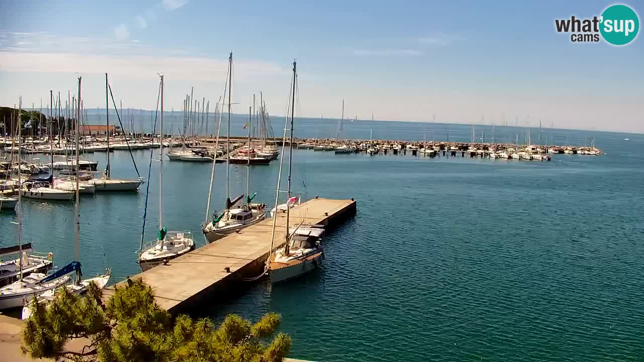 Spletna kamera Sesljan (Sistiana) – Pogled na marino in zaliv
