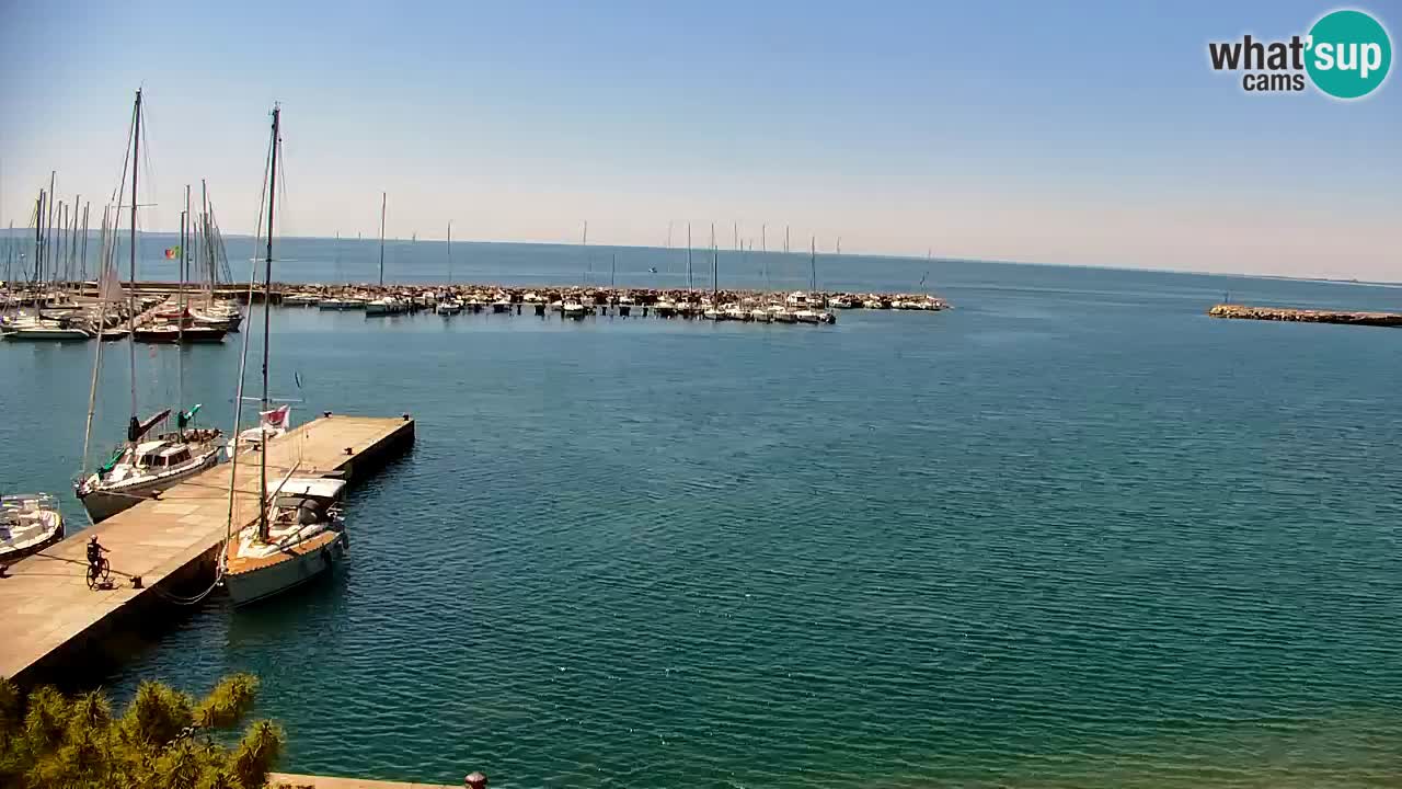 Spletna kamera Sesljan (Sistiana) – Pogled na marino in zaliv