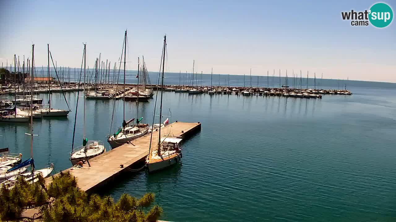 Spletna kamera Sesljan (Sistiana) – Pogled na marino in zaliv