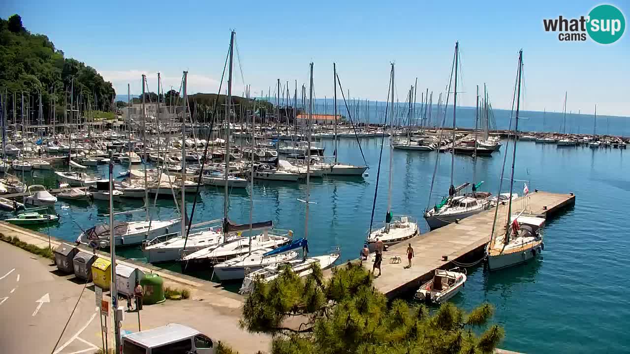 Webcam Sistiana – Vue sur la marina et la baie